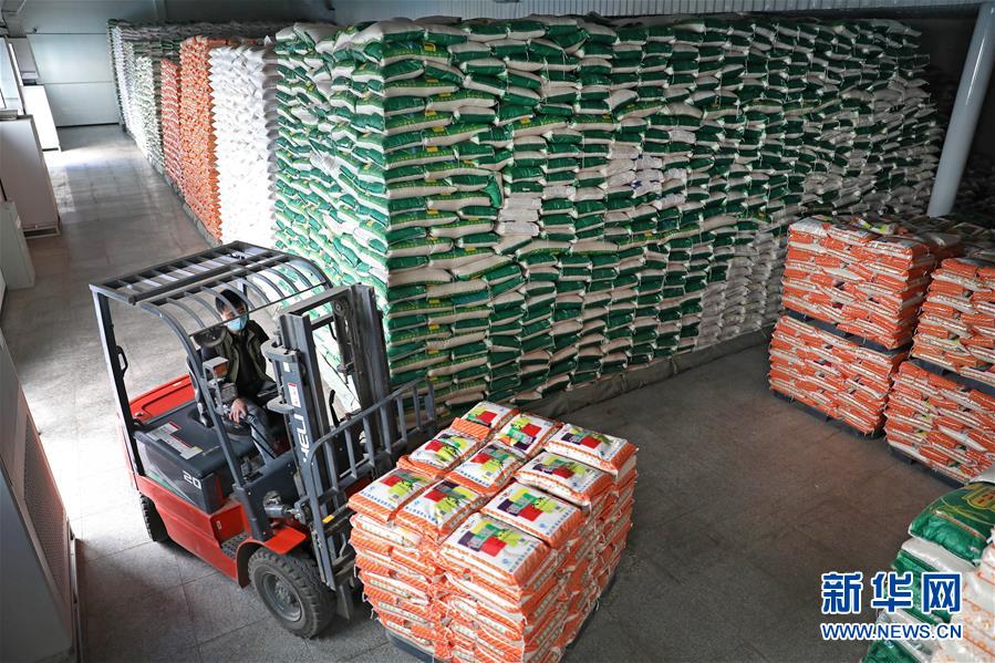 (在習近平新時代中國特色社會主義思想指引下——新時代新作為新篇章·習近平總書記關切事·圖文互動)(9)春耕忙 信心足——谷雨時節走馬東北直擊糧事