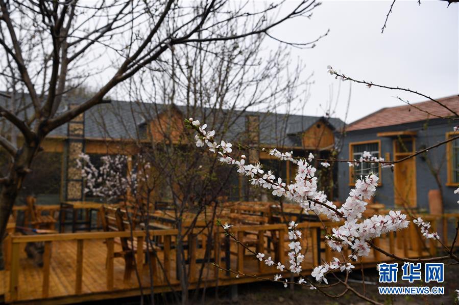 （圖文互動(dòng)）（6）“疫”去客來(lái)會(huì)有時(shí)——新疆伊犁河谷旅游市場(chǎng)漸暖見聞