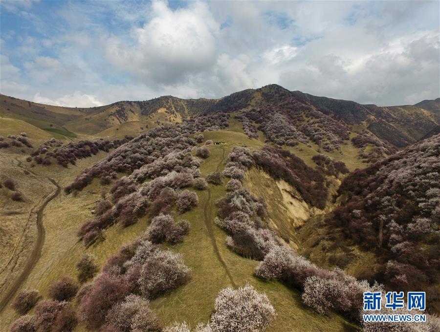 （圖文互動(dòng)）（7）“疫”去客來(lái)會(huì)有時(shí)——新疆伊犁河谷旅游市場(chǎng)漸暖見聞