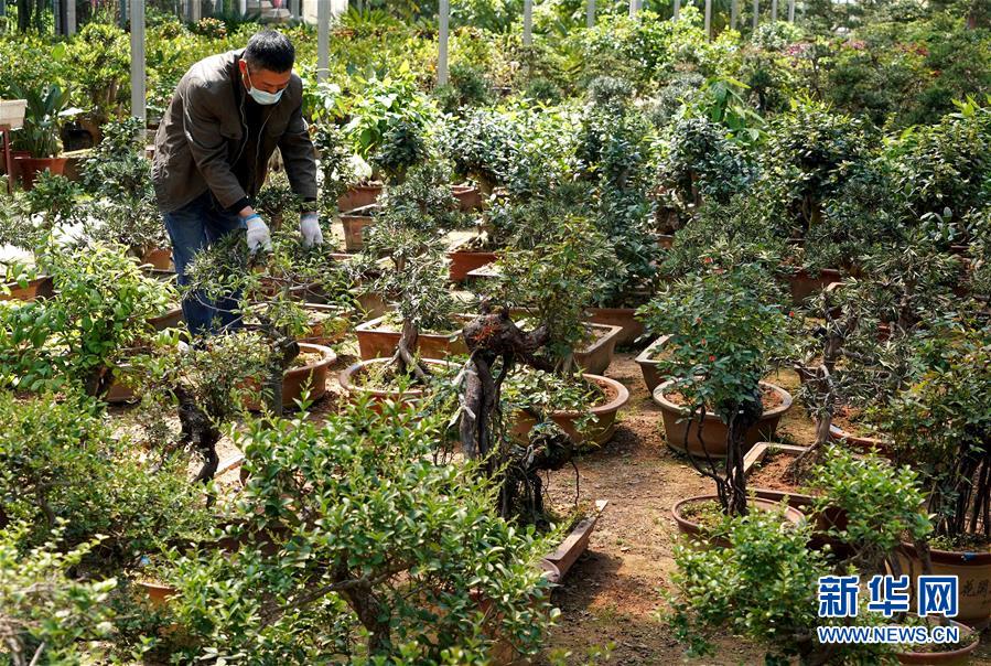 (來自一線的調查報告·圖文互動)(7)搶出一個身位謀發展——河南許昌經濟復蘇見聞