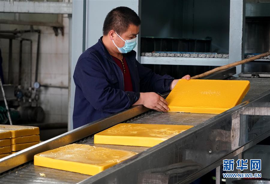 (來自一線的調查報告·圖文互動)(8)搶出一個身位謀發展——河南許昌經濟復蘇見聞