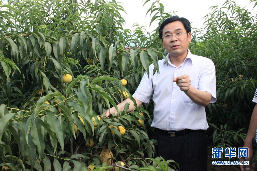 （圖文互動(dòng)）（2）“為脫貧而來(lái)，為脫貧而去”——追記湖南炎陵縣委原書記黃詩(shī)燕 