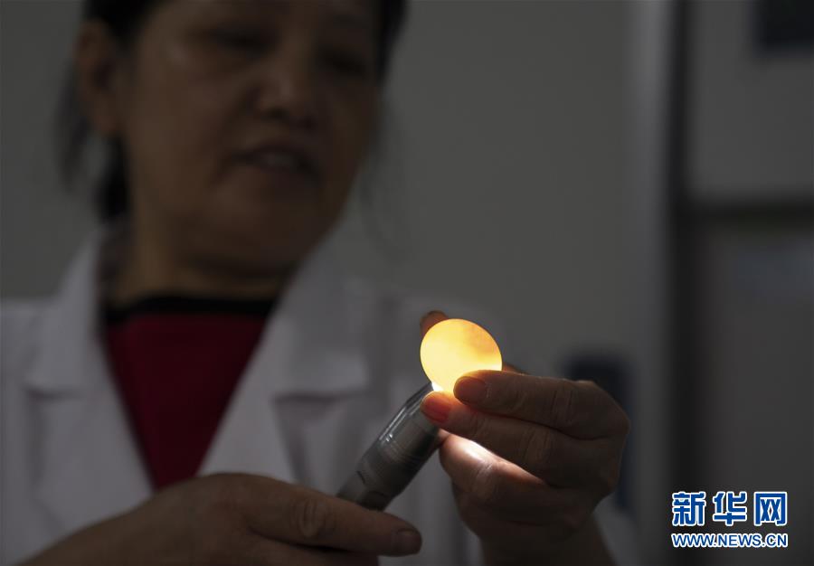 (決戰決勝脫貧攻堅·圖文互動)(2)小鴿子帶來大希望——河北阜平硒鴿產業“飛翔”記