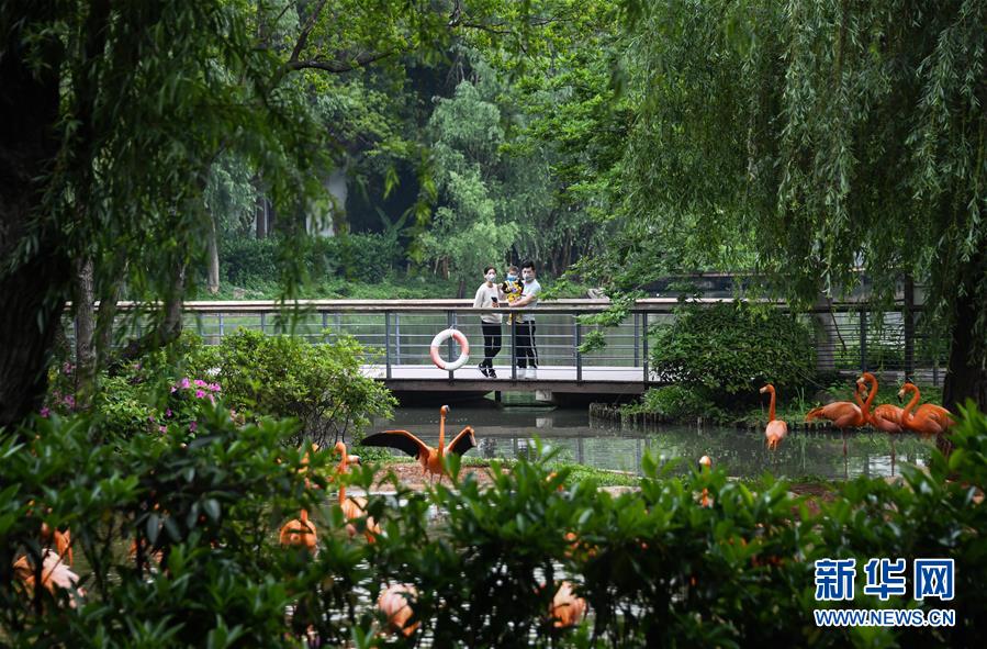 (在習(xí)近平新時(shí)代中國(guó)特色社會(huì)主義思想指引下——新時(shí)代新作為新篇章·習(xí)近平總書記關(guān)切事·圖文互動(dòng))(8)疫情防控不減壓 復(fù)工復(fù)產(chǎn)正加速——武漢“解封”滿月觀察