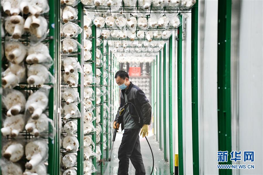 (決戰決勝脫貧攻堅·圖文互動)(3)補短板 促就業 穩增收——貴州向脫貧“硬骨頭”發起總攻