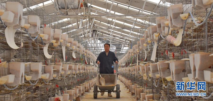 (新華全媒頭條·兩會精神看落實·圖文互動)(1)努力讓群眾看到變化得到實惠——落實全國兩會精神持續保障和改善民生述評