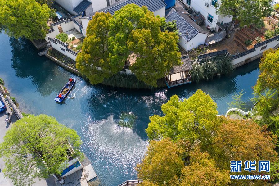 (新華全媒頭條·圖文互動)(6)從“藍圖規劃”到美麗“現實畫卷”——長三角一體化高質量發展一年間