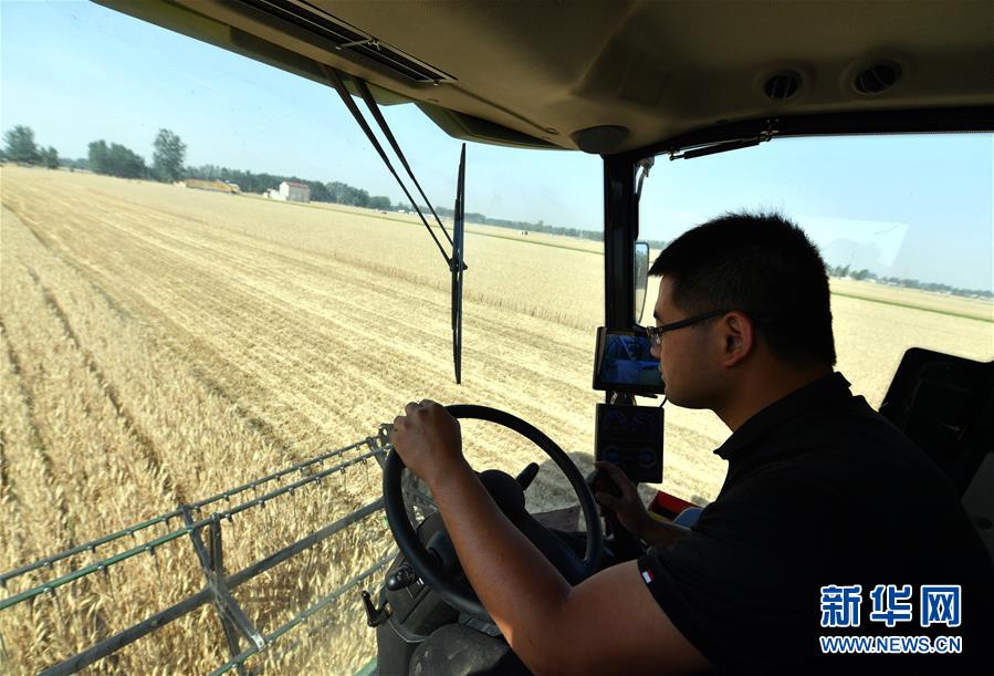 (關(guān)注三夏·圖文互動(dòng))(2)麥田“后浪”的農(nóng)事新說(shuō)