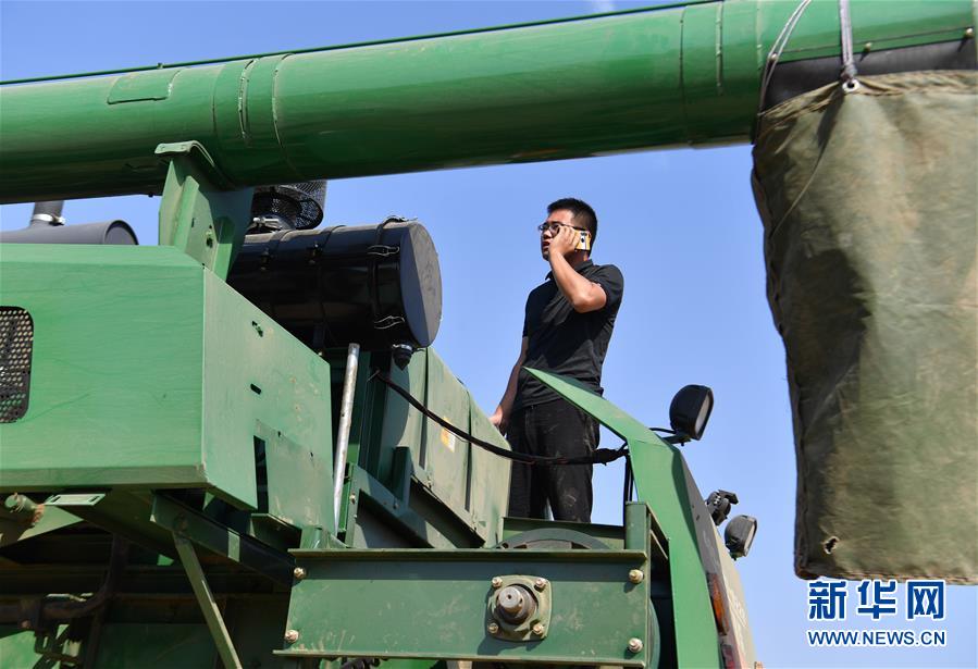 (關(guān)注三夏·圖文互動(dòng))(4)麥田“后浪”的農(nóng)事新說(shuō)