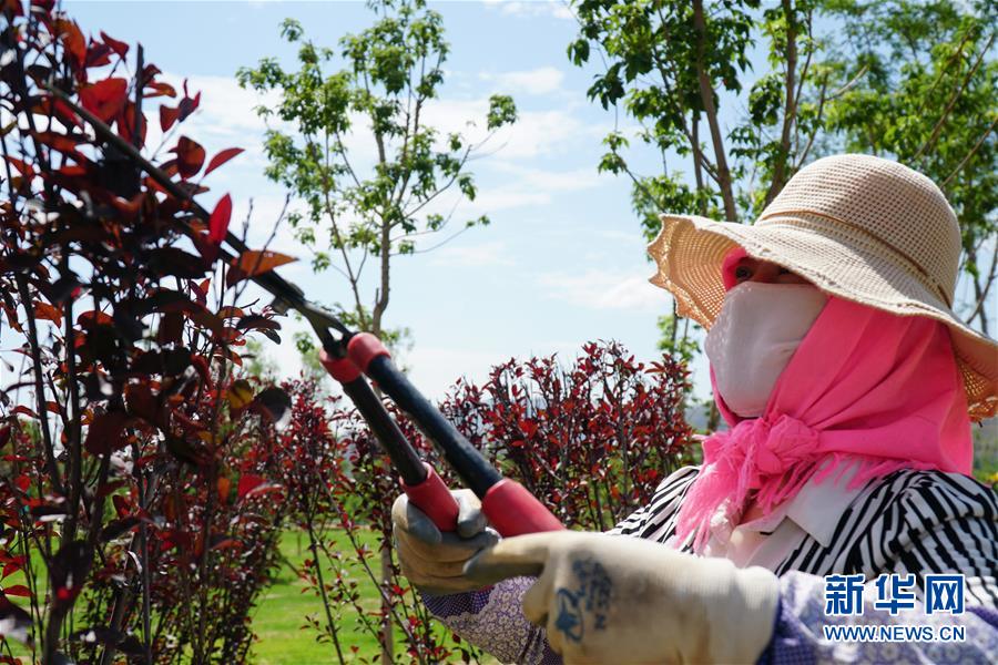 (決戰(zhàn)決勝脫貧攻堅·圖文互動)(2)李三姐有了“美”差事