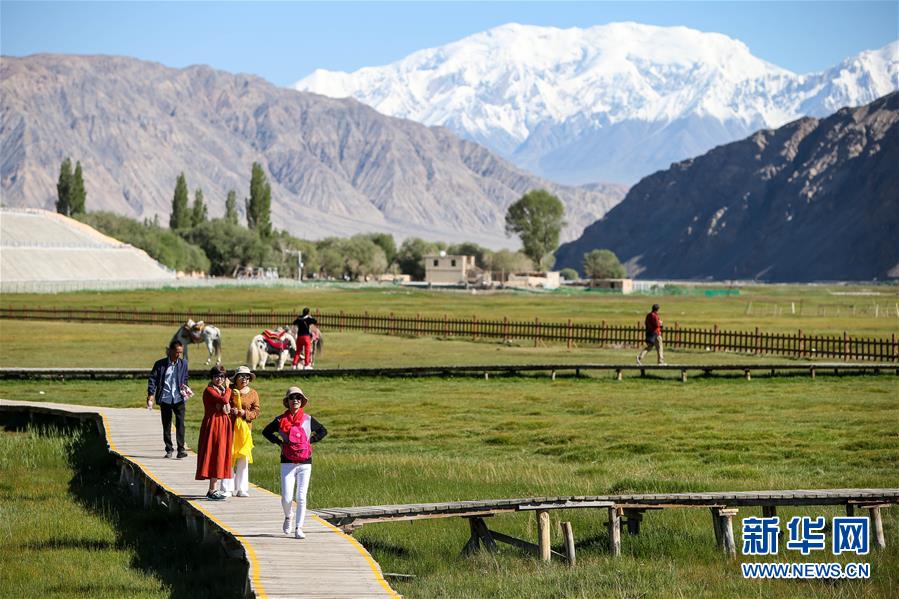 （新華全媒頭條&middot;圖文互動）（15）飛吧，&ldquo;帕米爾雄鷹&rdquo;！