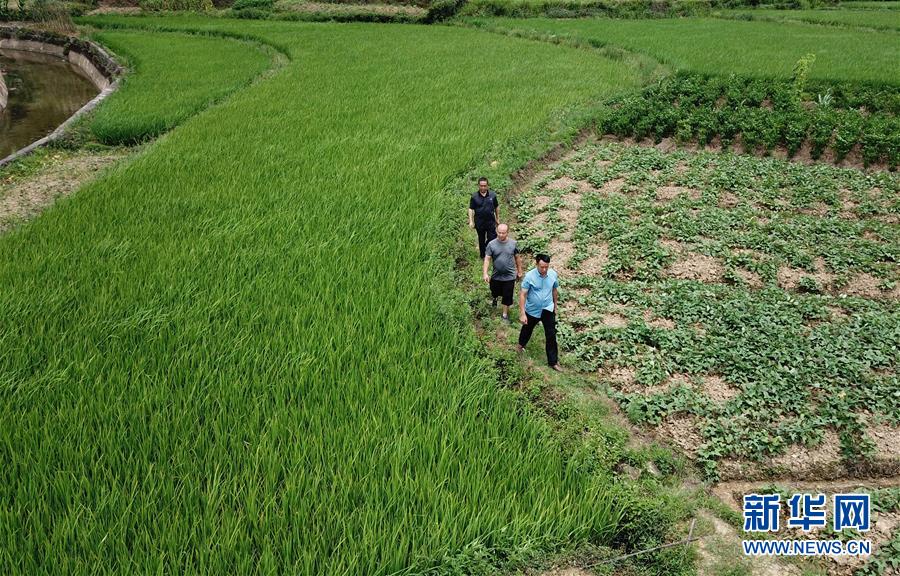 （圖文互動）（6）湘南深山，堅守扶貧一線的黨員之家