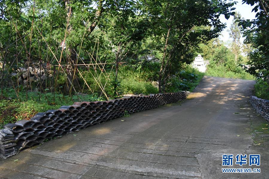 (鄉村振興·圖文互動)(2)海壩成“畫”