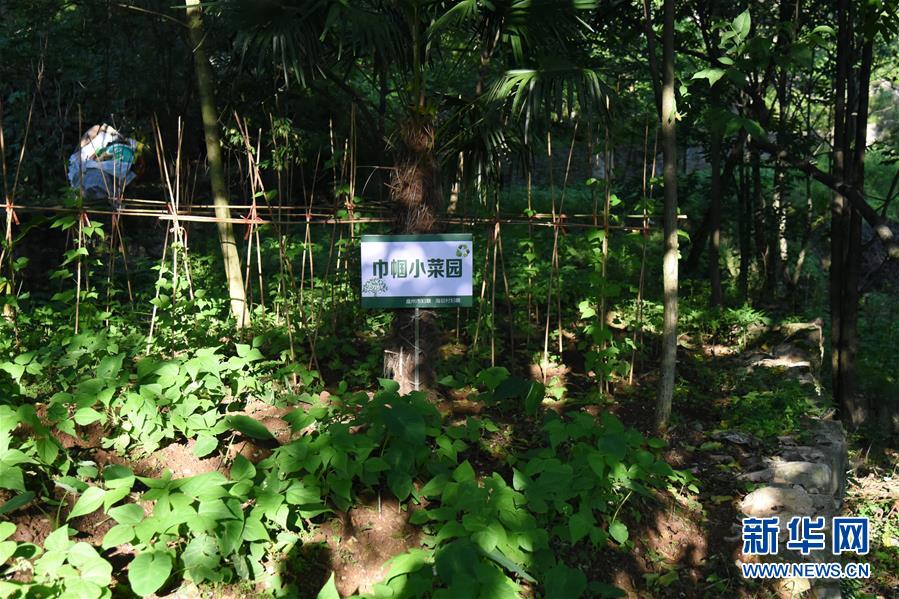 (鄉村振興·圖文互動)(5)海壩成“畫”