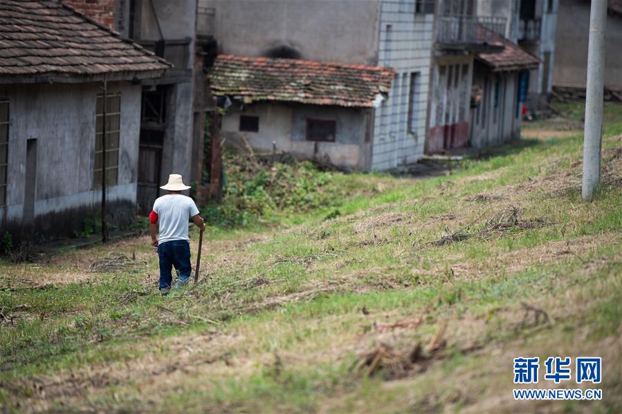 （防汛抗洪·圖文互動）（3）鏖戰南洞庭