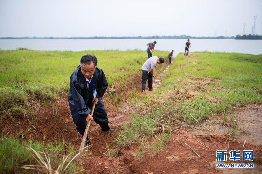 （防汛抗洪·圖文互動）（9）鏖戰南洞庭
