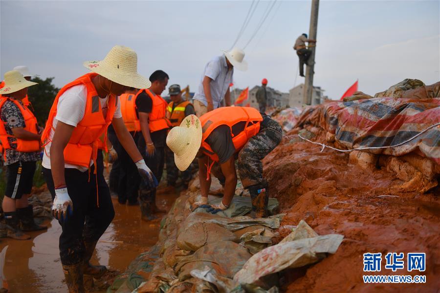(防汛抗洪·圖文互動)(3)聞“汛”而動戰鄱湖