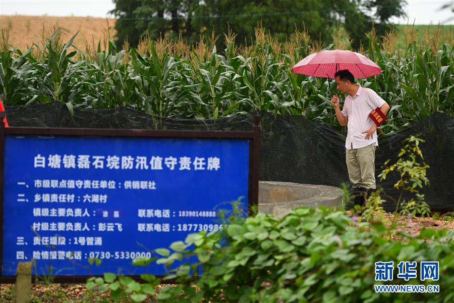 （防汛抗洪·圖文互動）（1）“險情不可怕，可怕的是不能及時發現險情”——洞庭湖巡堤查險現場直擊