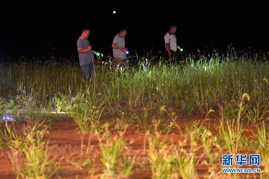 （防汛抗洪·圖文互動(dòng)）（2）“保衛(wèi)家園，誰(shuí)都不能是旁觀者”——夜訪洞庭湖大堤防汛一線