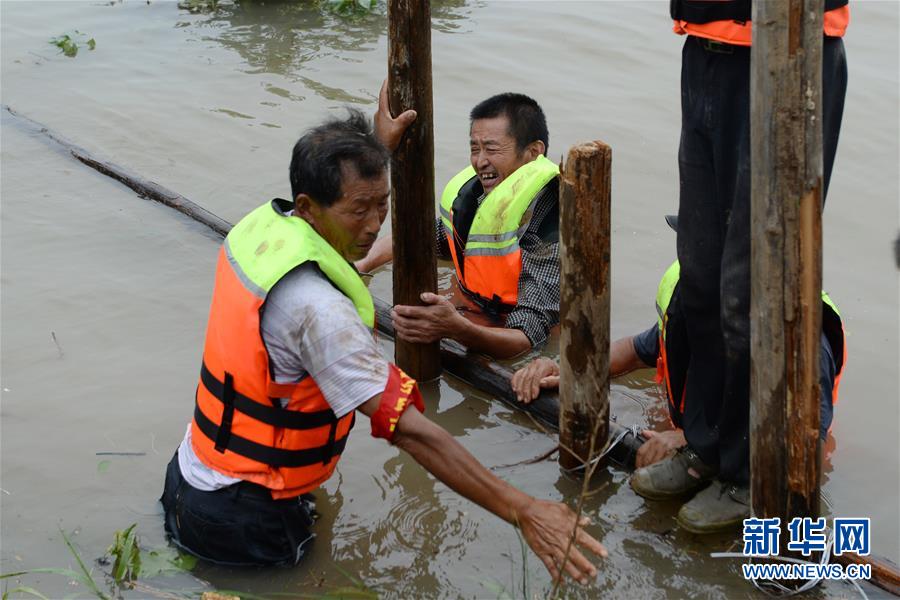 (防汛抗洪)(1)安徽樅陽:搶險(xiǎn)江心洲