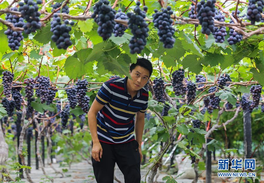 (新華全媒頭條·走向我們的小康生活·圖文互動(dòng))(9)奮斗繪就“新天府”——川蜀大地干群“戰(zhàn)貧”軌跡掃描