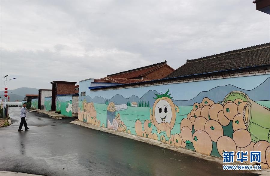 (決戰(zhàn)決勝脫貧攻堅·圖文互動)(1)西紅柿小鎮(zhèn)的“致富經(jīng)”