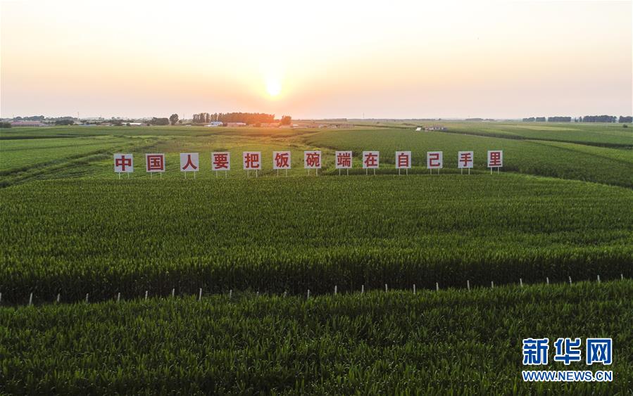 (在習近平新時代中國特色社會主義思想指引下——新時代新作為新篇章·習近平總書記關切事·圖文互動)(1)讓百姓吃得飽還要吃得好——夯實糧食安全基礎端牢中國飯碗