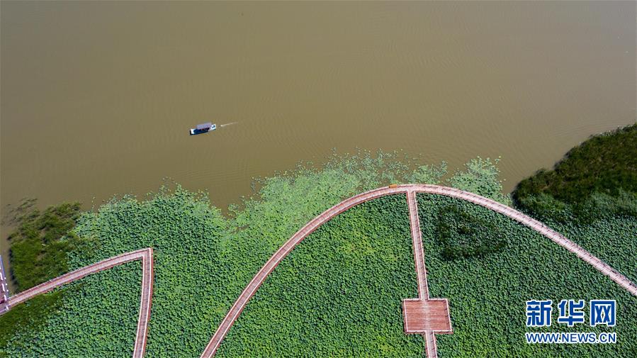 （在習近平新時代中國特色社會主義思想指引下——新時代新作為新篇章·習近平總書記關切事·圖文互動）（8）綠色映底蘊，山水見初心——生態(tài)優(yōu)先、綠色發(fā)展持續(xù)造福群眾美好生活