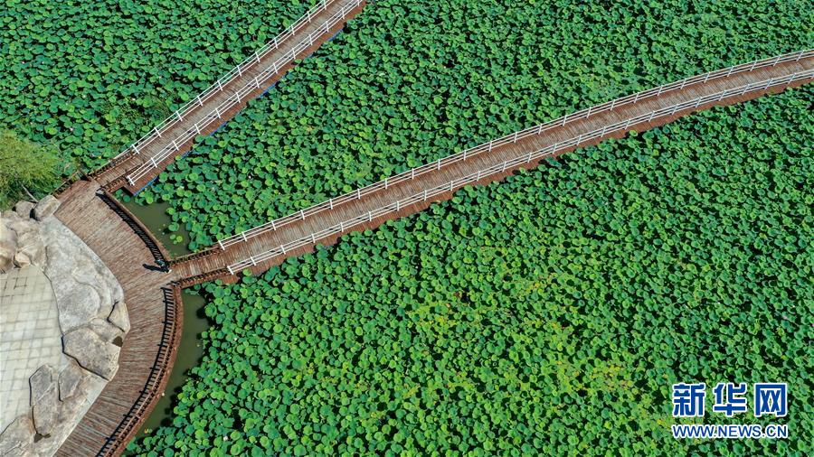 （在習近平新時代中國特色社會主義思想指引下——新時代新作為新篇章·習近平總書記關切事·圖文互動）（9）綠色映底蘊，山水見初心——生態(tài)優(yōu)先、綠色發(fā)展持續(xù)造福群眾美好生活