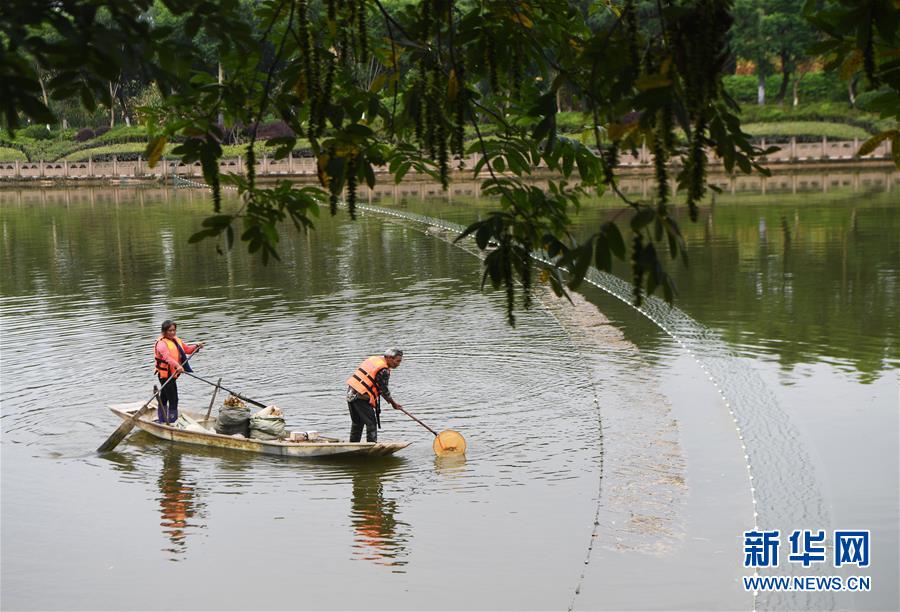 (長江經濟帶·圖文互動)(3)李代國再下河