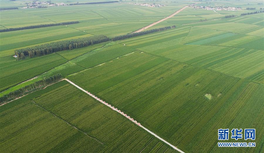 （在習(xí)近平新時(shí)代中國(guó)特色社會(huì)主義思想指引下——新時(shí)代新作為新篇章·習(xí)近平總書(shū)記關(guān)切事·圖文互動(dòng)）（2）為黑土加“油”——“耕地中的大熊貓”，我們這樣保護(hù)