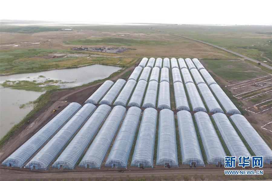 (決戰決勝脫貧攻堅·圖文互動)(2)幸福村的幸福“菜”事