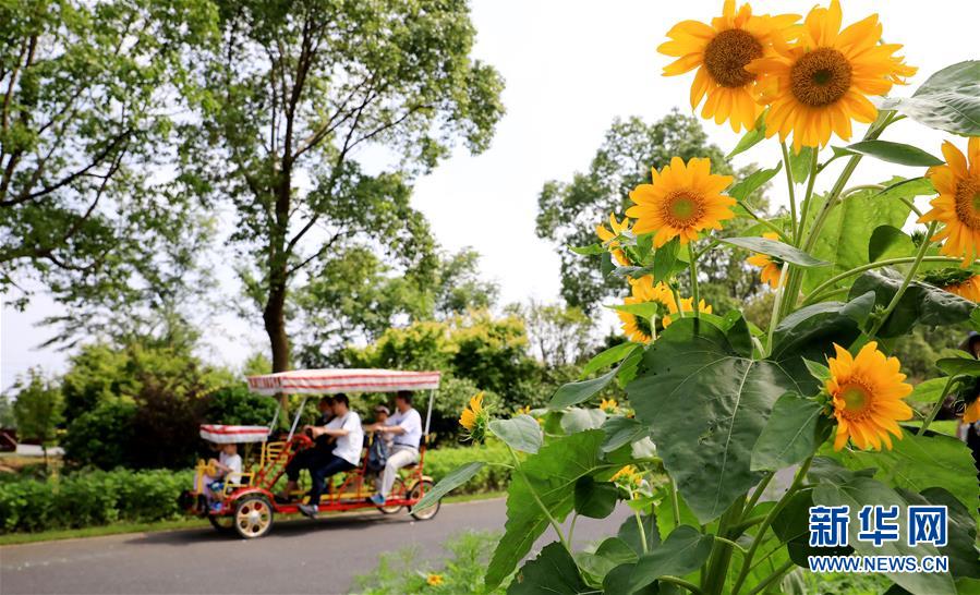(新華全媒頭條·走向我們的小康生活·圖文互動(dòng))(13)城市,讓人民生活更美好