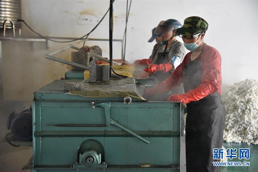 (決戰決勝脫貧攻堅·圖文互動)(2)“江南繅絲”喀斯特深山扎根記