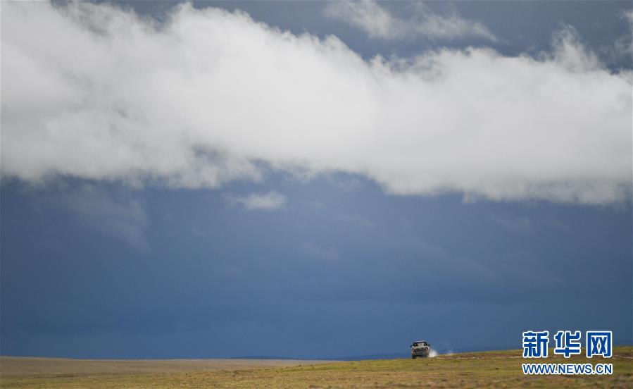 (圖文互動)(7)記者手記:可可西里,“挪”向“藏羚羊大產房”的14個半小時