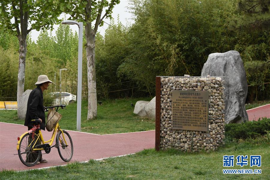 (新華視點·圖文互動)(4)警惕重金“移石造景”之風:有的景觀石一塊逾百萬元