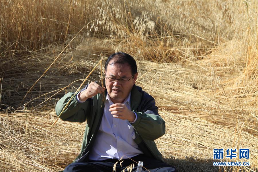 (新時代擔當作為典型·圖文互動)(1)草地生態專家趙新全:情深不舍三江源