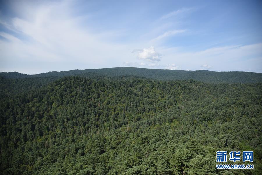 （鄉村振興·圖文互動）守護小興安嶺的“綠色明珠”