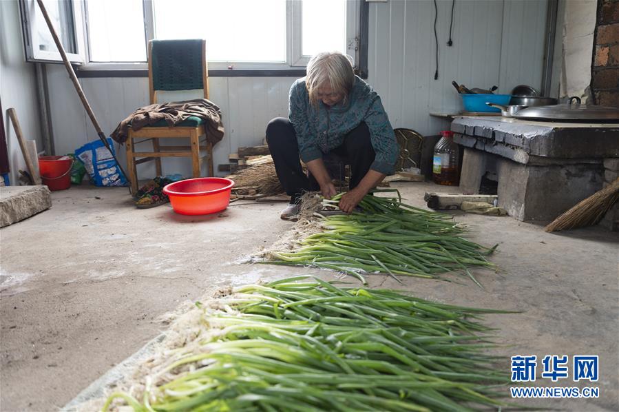 (決戰決勝脫貧攻堅·圖文互動)(4)老張的菜園