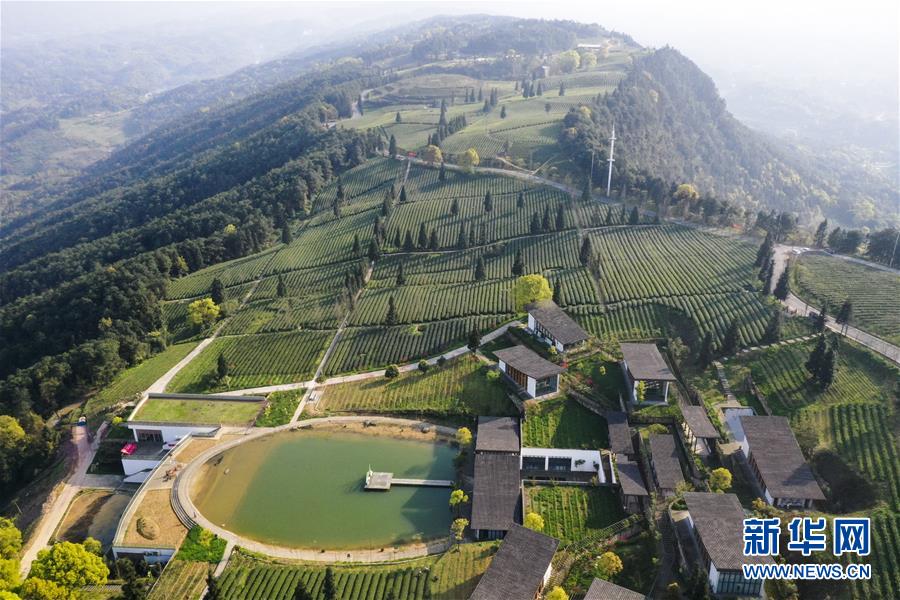 (新華全媒頭條·走向我們的小康生活·圖文互動)(3)大城大鄉的“幸福協奏曲”——重慶推動高質量發展創造高品質生活紀事