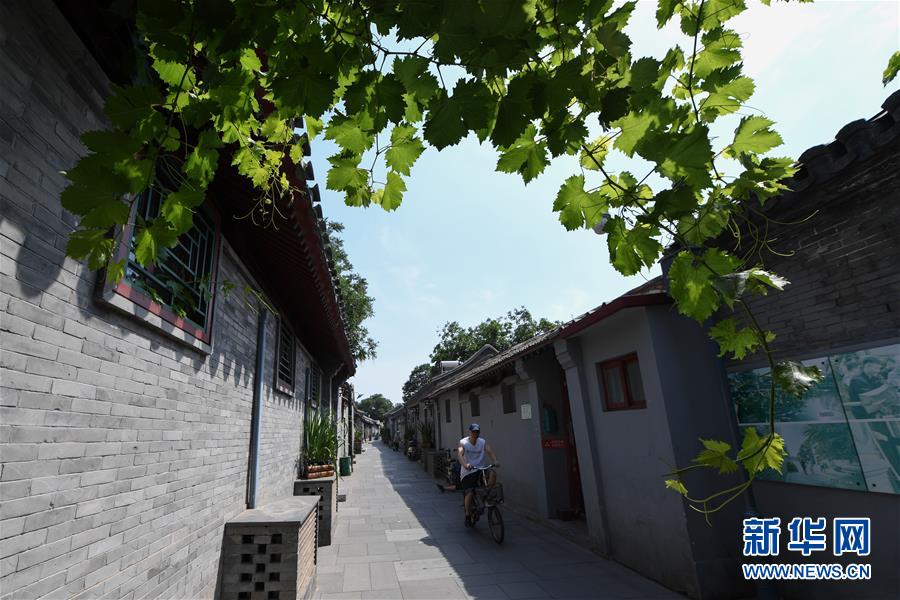 （走向我們的小康生活·圖文互動(dòng)）（1）小橋、流水、書香、人家——老北京胡同里的恬靜棲居