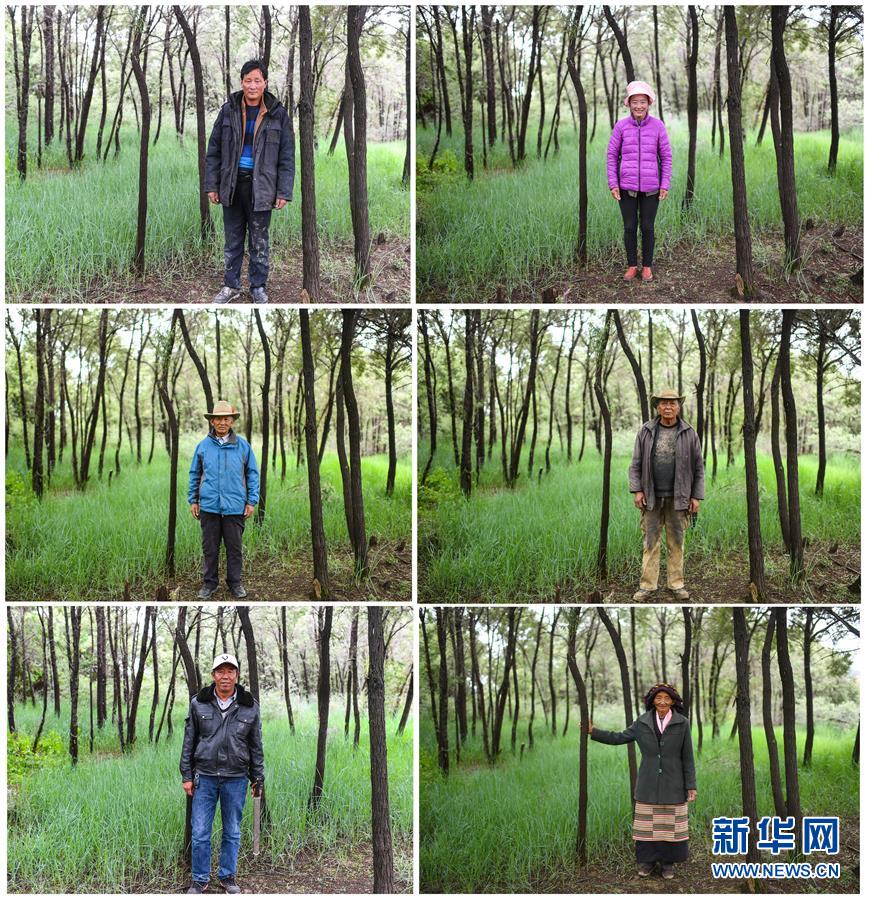 (新華全媒頭條·圖文互動)(7)莊重的承諾 歷史的奇跡——西藏自治區決戰脫貧攻堅紀實