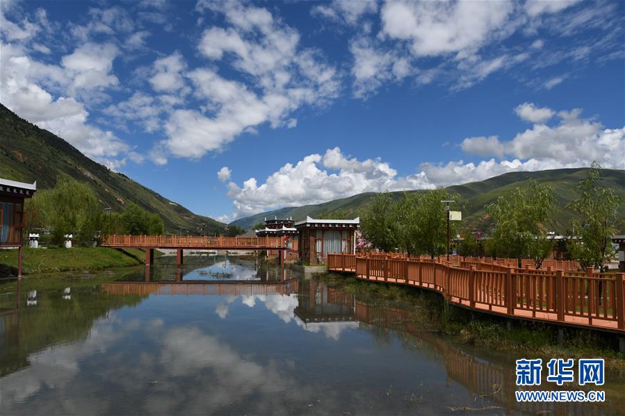 (鄉(xiāng)村振興·圖文互動(dòng))(1)村里來了位“掏糞書記”