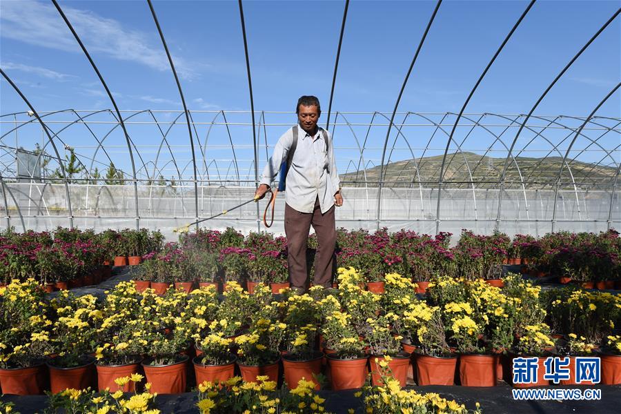 (新華全媒頭條·走向我們的小康生活·圖文互動)(10)“苦甲”不再,“甘味”綿長——脫貧攻堅的甘肅味道