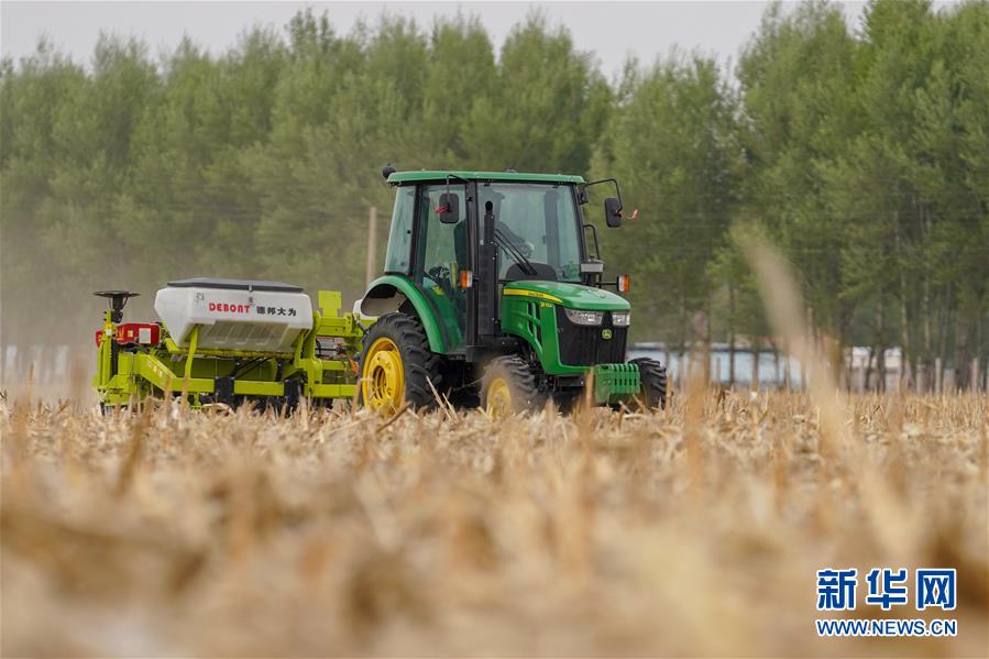 (新華全媒頭條·圖文互動(dòng))(10)為現(xiàn)代農(nóng)業(yè)探新路——來自吉林梨樹的田野報(bào)告