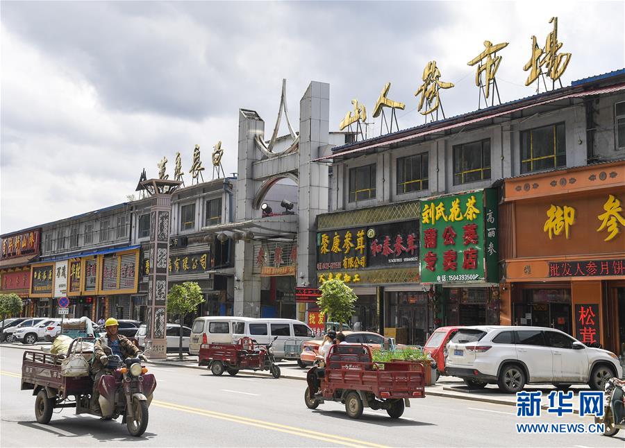 (走向我們的小康生活)(12)人參產業助民增收