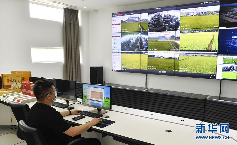 （新華全媒頭條·走向我們的小康生活·圖文互動(dòng)）（4）黑土地上是我家——在吉林，一瞥中國東北鄉(xiāng)村美麗未來