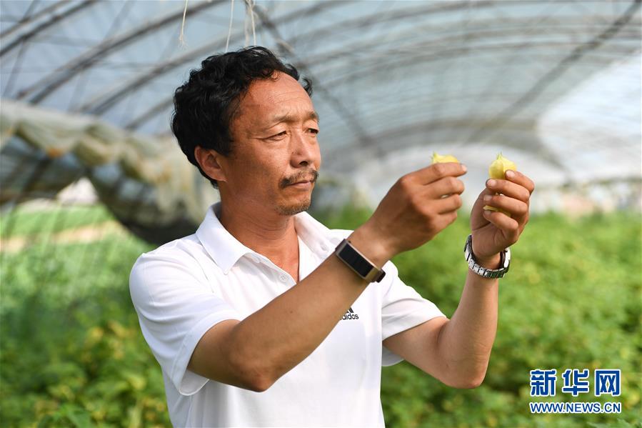 （新華全媒頭條·走向我們的小康生活·圖文互動(dòng)）（7）黑土地上是我家——在吉林，一瞥中國東北鄉(xiāng)村美麗未來