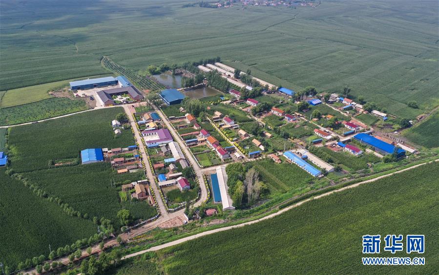 （新華全媒頭條·走向我們的小康生活·圖文互動(dòng)）（12）黑土地上是我家——在吉林，一瞥中國東北鄉(xiāng)村美麗未來
