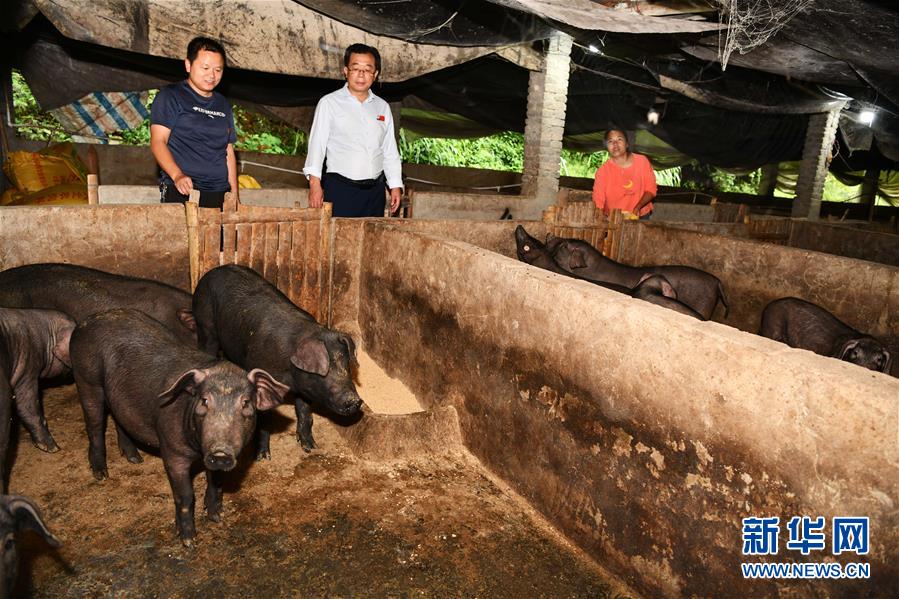 （新華全媒頭條·決戰決勝脫貧攻堅·督戰未摘帽貧困縣·圖文互動）（9）把“最能打的人”放在最需要的地方——聚焦貴州未脫貧縣里的“助攻干部”